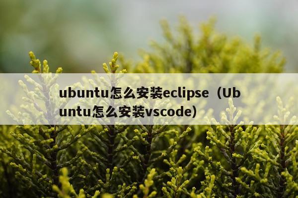 ubuntu怎么安装eclipse(Ubuntu怎么安装vscode)