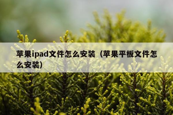 苹果ipad文件怎么安装(苹果平板文件怎么安装)