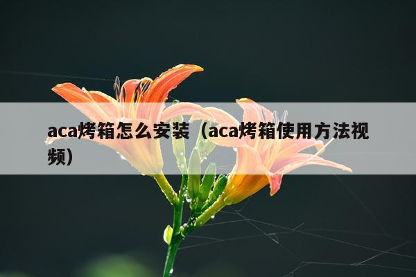 aca烤箱怎么安装(aca烤箱使用方法视频)