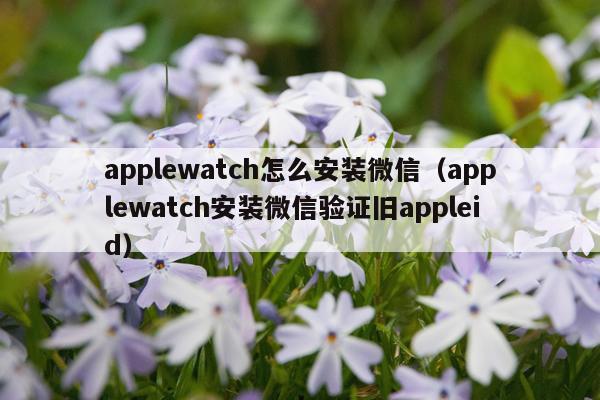 applewatch怎么安装微信(applewatch安装微信验证旧appleid)