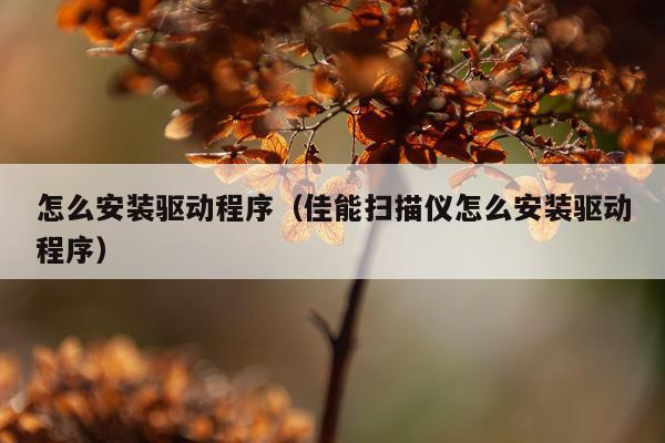 怎么安装驱动程序(佳能扫描仪怎么安装驱动程序)