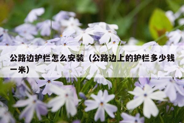 公路边护栏怎么安装(公路边上的护栏多少钱一米)