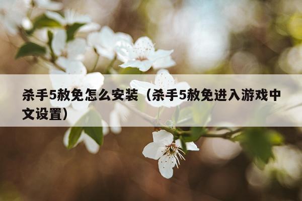 杀手5赦免怎么安装(杀手5赦免进入游戏中文设置)