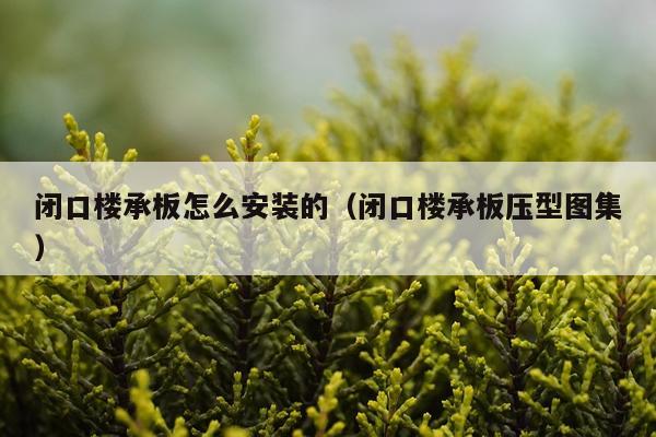 闭口楼承板怎么安装的(闭口楼承板压型图集)