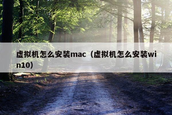 虚拟机怎么安装mac(虚拟机怎么安装win10)
