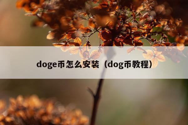 doge币怎么安装(dog币教程)