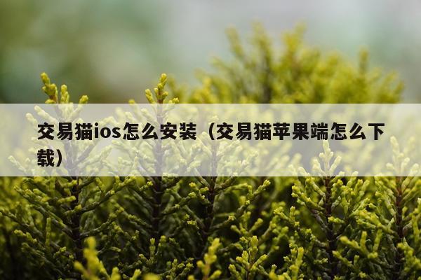 交易猫ios怎么安装(交易猫苹果端怎么下载)