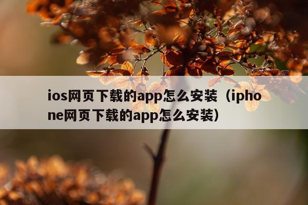 ios网页下载的app怎么安装(iphone网页下载的app怎么安装)