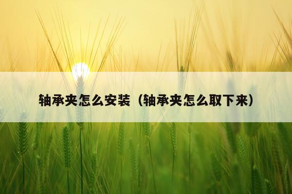轴承夹怎么安装(轴承夹怎么取下来)