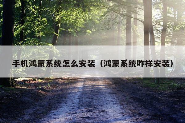 手机鸿蒙系统怎么安装(鸿蒙系统咋样安装)