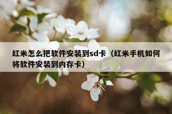 红米怎么把软件安装到sd卡(红米手机如何将软件安装到内存卡)
