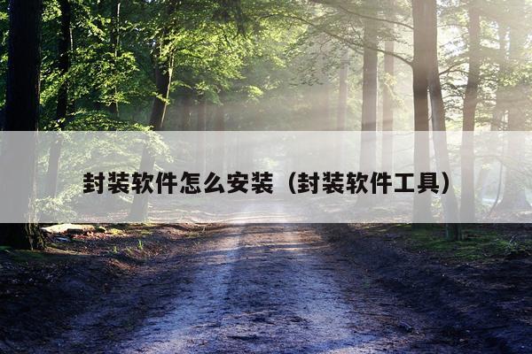 封装软件怎么安装(封装软件工具)