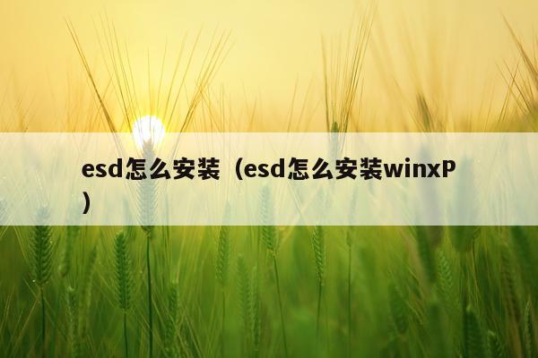 esd怎么安装(esd怎么安装winxP)
