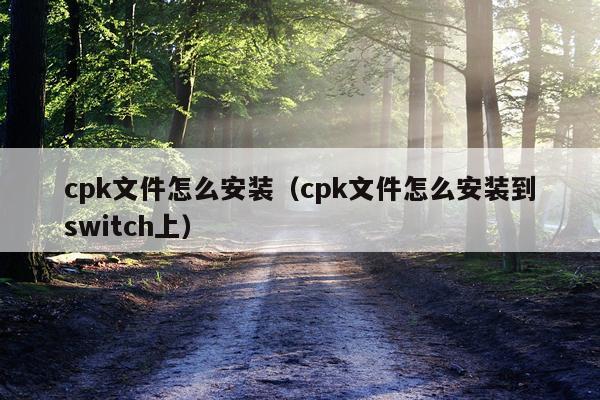 cpk文件怎么安装(cpk文件怎么安装到switch上)
