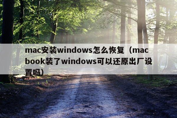 mac安装windows怎么恢复(macbook装了windows可以还原出厂设置吗)