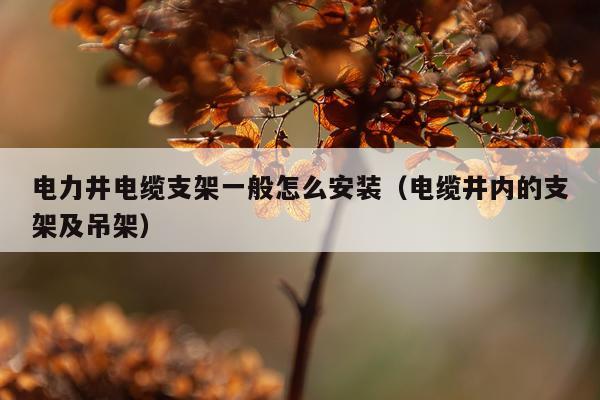 电力井电缆支架一般怎么安装(电缆井内的支架及吊架)