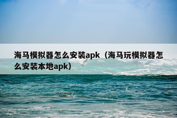 海马模拟器怎么安装apk(海马玩模拟器怎么安装本地apk)