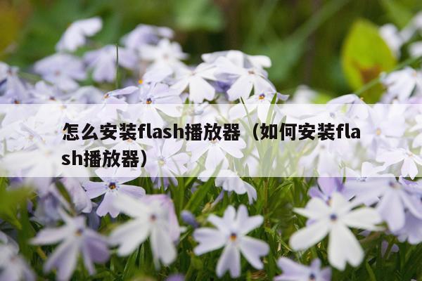 怎么安装flash播放器(如何安装flash播放器)