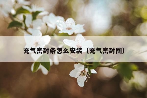 充气密封条怎么安装(充气密封圈)