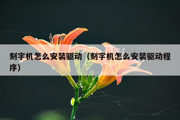 刻字机怎么安装驱动(刻字机怎么安装驱动程序)
