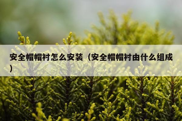安全帽帽衬怎么安装(安全帽帽衬由什么组成)