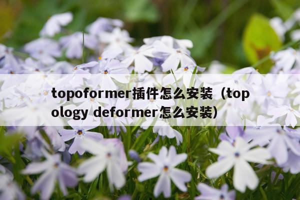 topoformer插件怎么安装(topology deformer怎么安装)