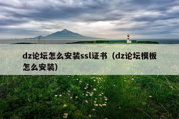 dz论坛怎么安装ssl证书(dz论坛模板怎么安装)
