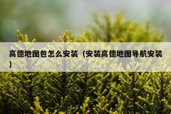 高德地图包怎么安装(安装高德地图导航安装)