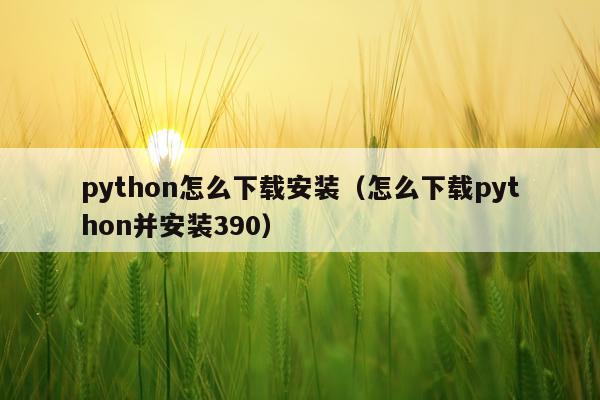 python怎么下载安装(怎么下载python并安装390)