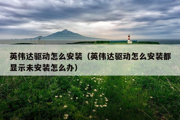 英伟达驱动怎么安装(英伟达驱动怎么安装都显示未安装怎么办)