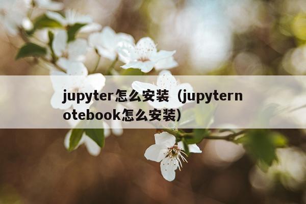 jupyter怎么安装(jupyternotebook怎么安装)