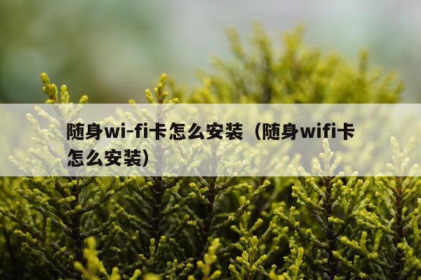 随身wi-fi卡怎么安装(随身wifi卡怎么安装)