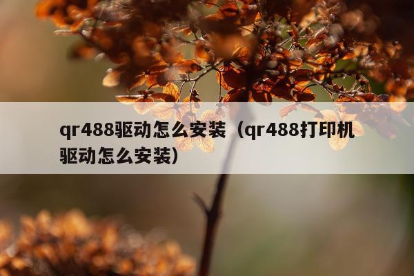qr488驱动怎么安装(qr488打印机驱动怎么安装)