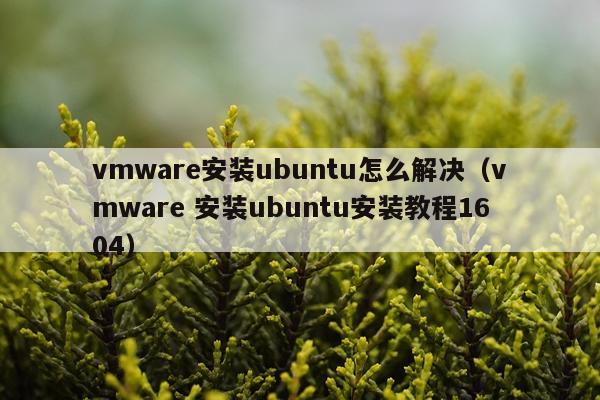 vmware安装ubuntu怎么解决(vmware 安装ubuntu安装教程1604)
