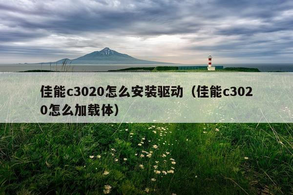 佳能c3020怎么安装驱动(佳能c3020怎么加载体)