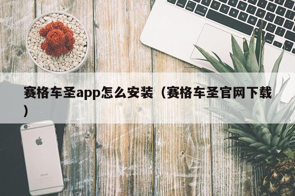 赛格车圣app怎么安装(赛格车圣官网下载)