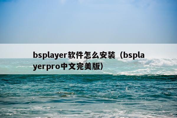 bsplayer软件怎么安装(bsplayerpro中文完美版)