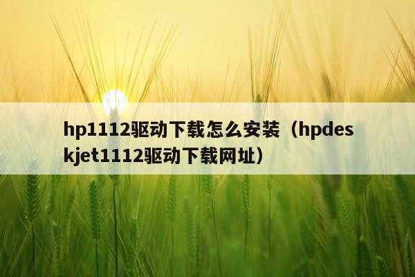 hp1112驱动下载怎么安装(hpdeskjet1112驱动下载网址)