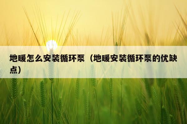 地暖怎么安装循环泵(地暖安装循环泵的优缺点)