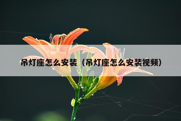 吊灯座怎么安装(吊灯座怎么安装视频)