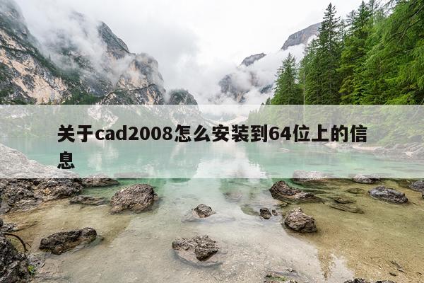 关于cad2008怎么安装到64位上的信息