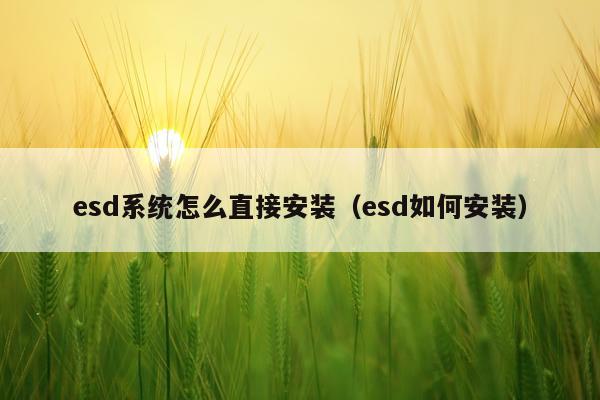 esd系统怎么直接安装(esd如何安装)