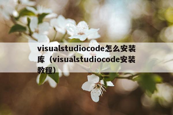 visualstudiocode怎么安装库(visualstudiocode安装教程)