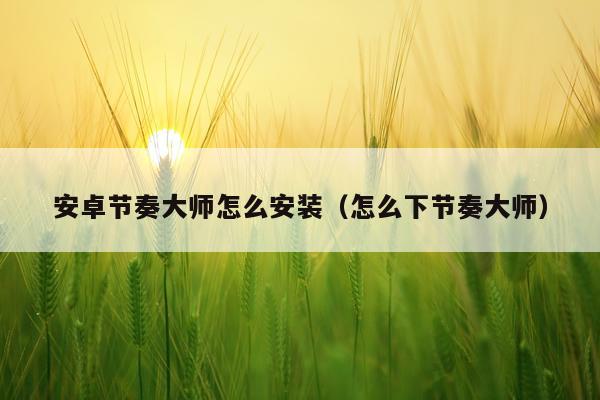 安卓节奏大师怎么安装(怎么下节奏大师)