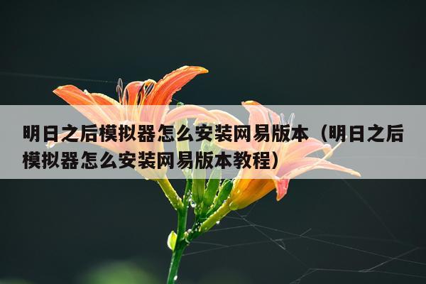 明日之后模拟器怎么安装网易版本(明日之后模拟器怎么安装网易版本教程)
