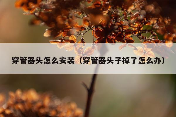 穿管器头怎么安装(穿管器头子掉了怎么办)