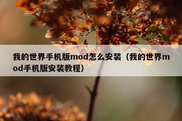 我的世界手机版mod怎么安装(我的世界mod手机版安装教程)