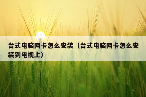 台式电脑网卡怎么安装(台式电脑网卡怎么安装到电视上)