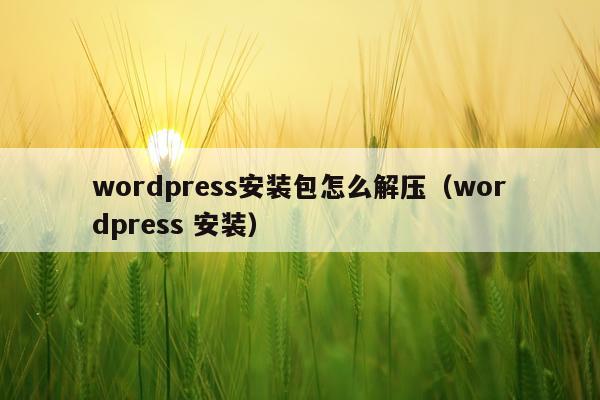 wordpress安装包怎么解压(wordpress 安装)