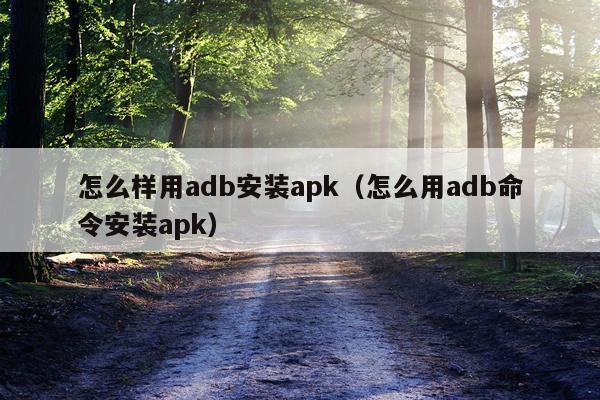 怎么样用adb安装apk(怎么用adb命令安装apk)